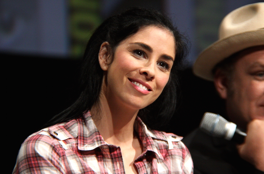 Sarah Silverman to Bernie or Bust Crowd: Youre Ridiculous